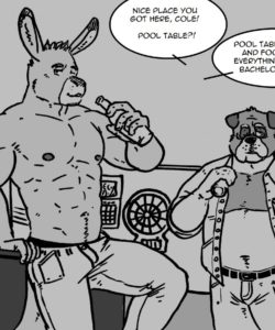Neighbours 002 and Gay furries comics