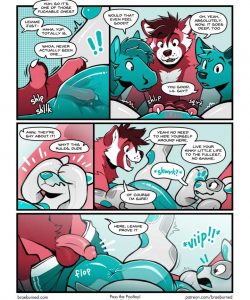 Pass The Pooltoy! 003 and Gay furries comics