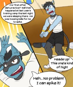 Poke Ballers - Penalty Match 002 and Gay furries comics