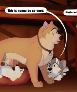 Team Player 014 and Gay furries comics