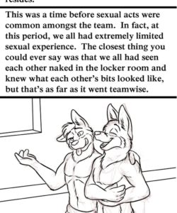 Team Spirit 015 and Gay furries comics