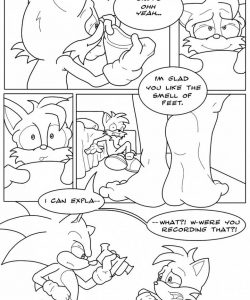 The Foot Fixated Fox 008 and Gay furries comics