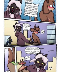 The Party 011 and Gay furries comics