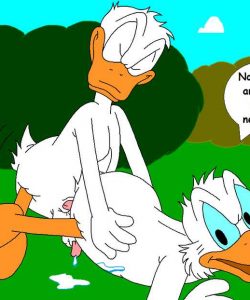 The Stalking Duck 039 and Gay furries comics