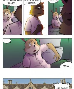The Story Of The Racoon 003 and Gay furries comics