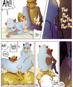 The Story Of The Racoon 009 and Gay furries comics