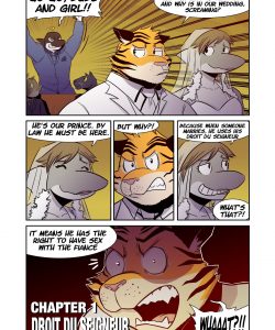 Thievery - The Prince Origins 004 and Gay furries comics